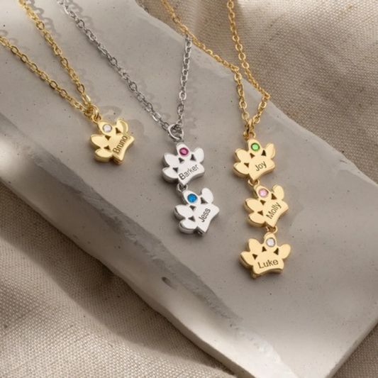 PAW WITH STONE KOLYE