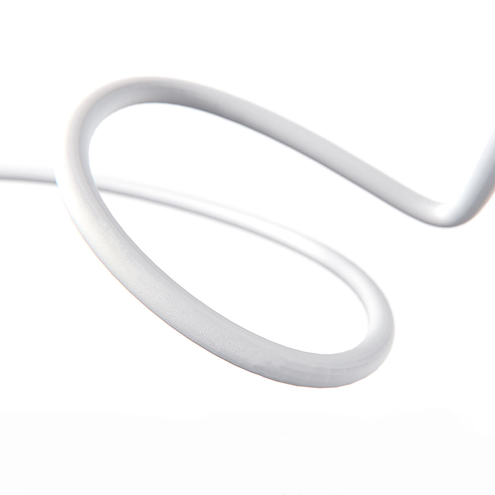 Lenyes LC548-TC-TC Type-C to Type-C Fast Charging PD Data and Charging Cable 60W 1M White