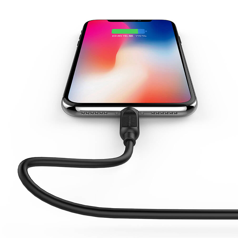 Recci RCL-P100 City of Sky Series Lightning to USB-A Data and Charging Cable 1M Black