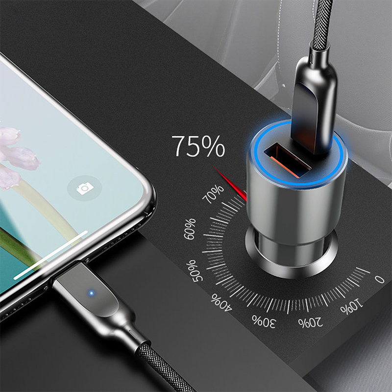 Wiwu PC100 Car Charger Gray