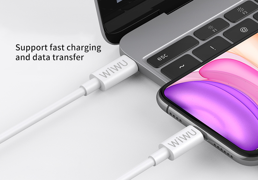 Wiwu The One PD To Lightning Usb Cable 2M White