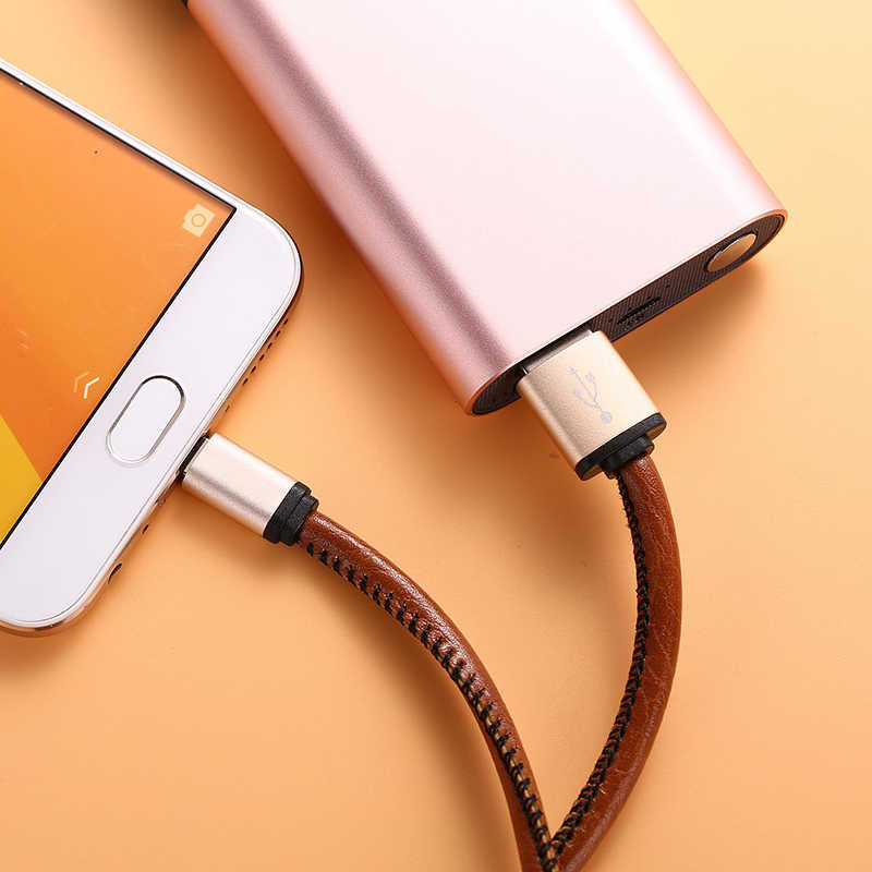 Xipin LX1385 Micro Cable Gold
