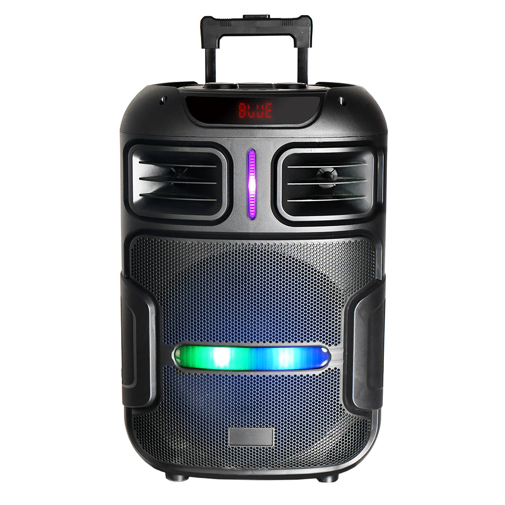 Zore GD-1503 Digital LED Display FM Radio Microphone RGB TWS 15 inch Stereo Bass Wireless Karaoke Speaker Black