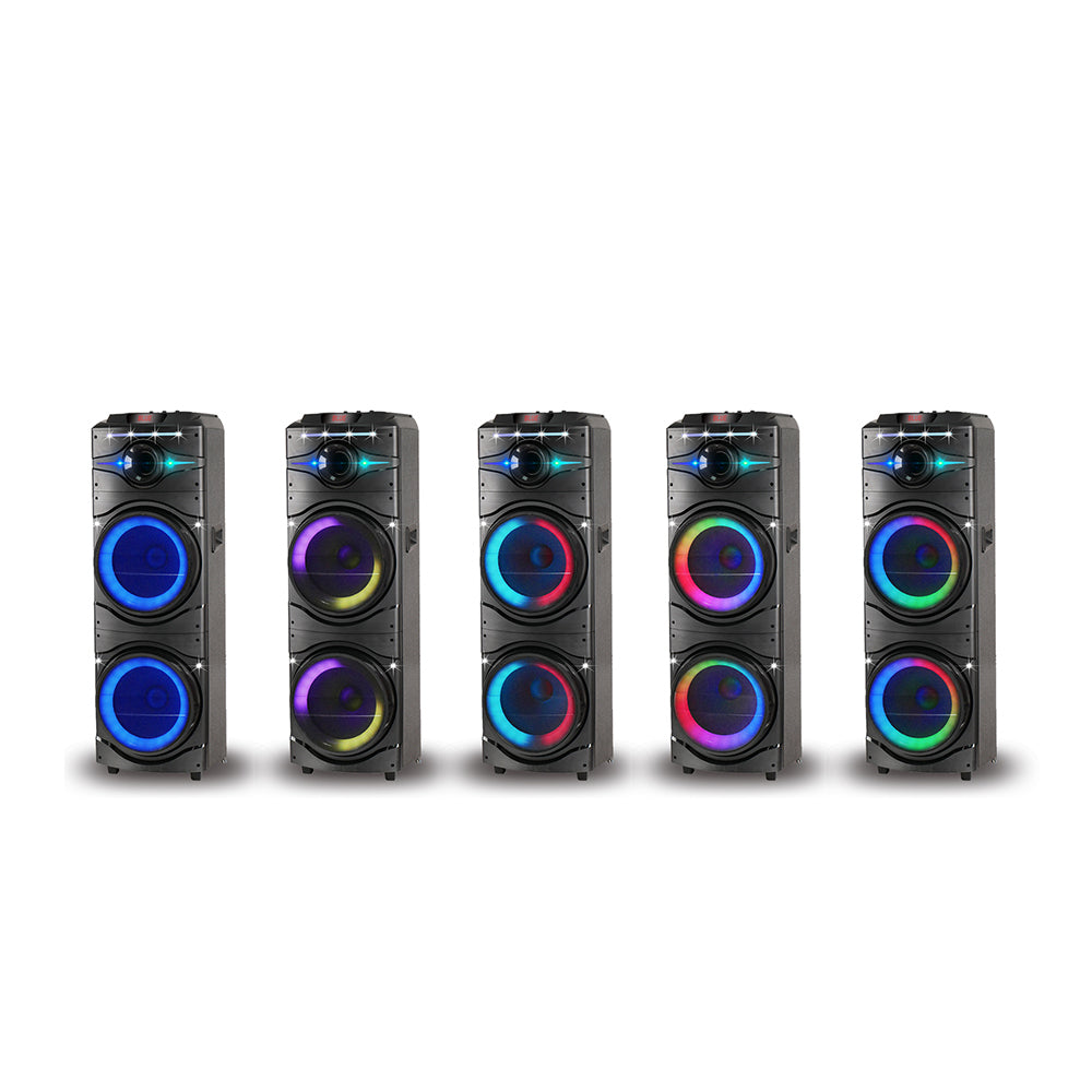 Zore GD-2016 Digital LED Display FM Radio Microphone RGB TWS Dual 12-inch Stereo Bass Wireless Karaoke Speaker Black