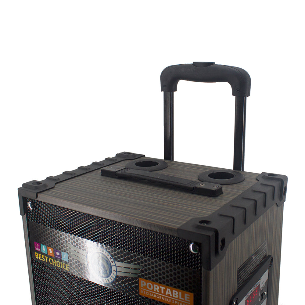 Zore LT-910 Digital LED Display FM Radio Microphone Guitar Input TWS 10-inch Stereo Bass Wireless Karaoke Speaker Black