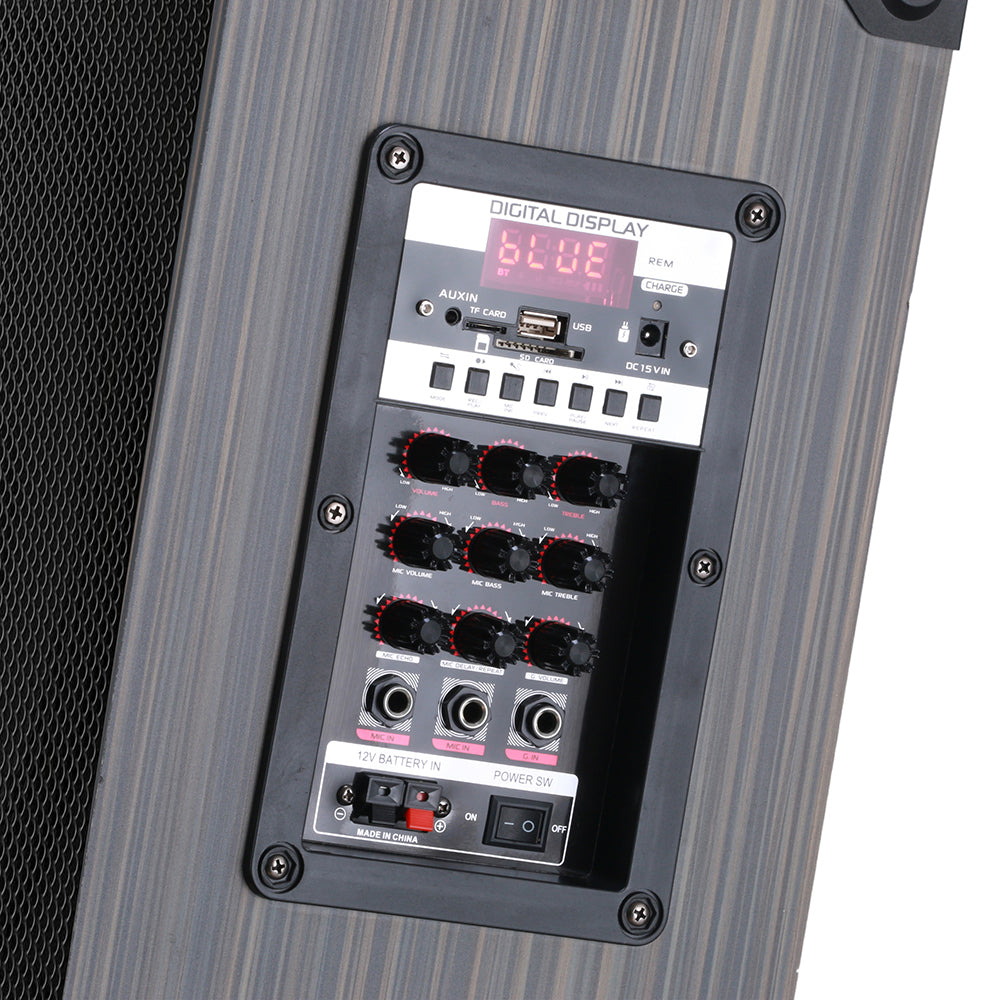 Zore LT-910 Digital LED Display FM Radio Microphone Guitar Input TWS 10-inch Stereo Bass Wireless Karaoke Speaker Black
