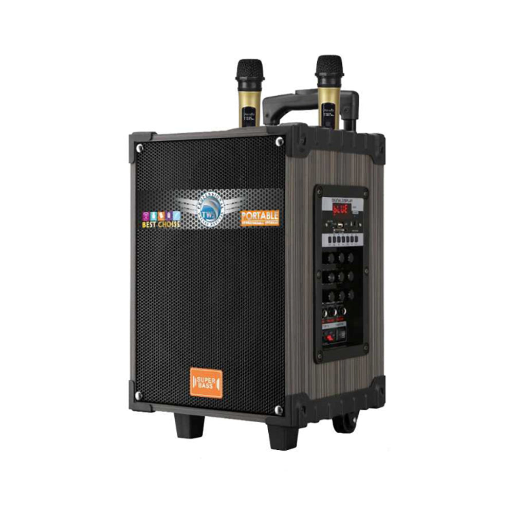 Zore LT-910 Digital LED Display FM Radio Microphone Guitar Input TWS 10-inch Stereo Bass Wireless Karaoke Speaker Black