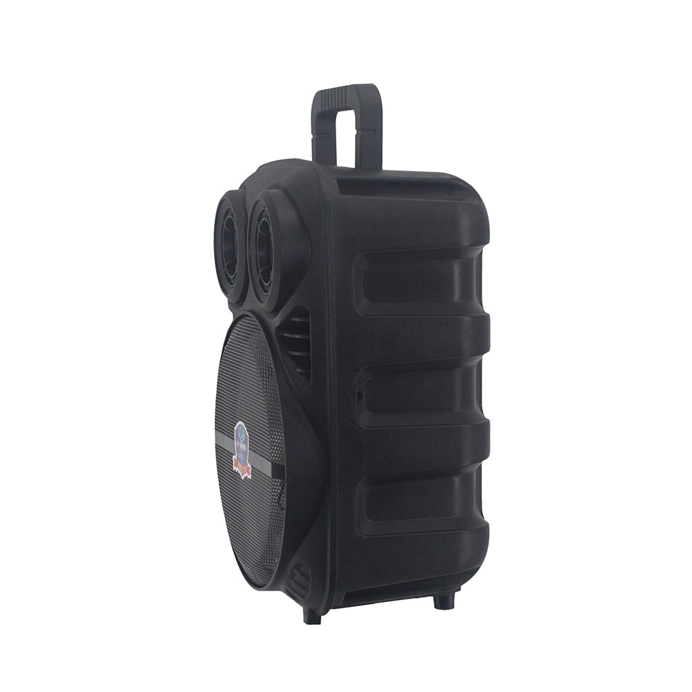 Zore PK-15 FM Radyolu Mikrofonlu RGB TWS 8 inç Stereo Bass Kablosuz Karaoke Hoparlör Siyah