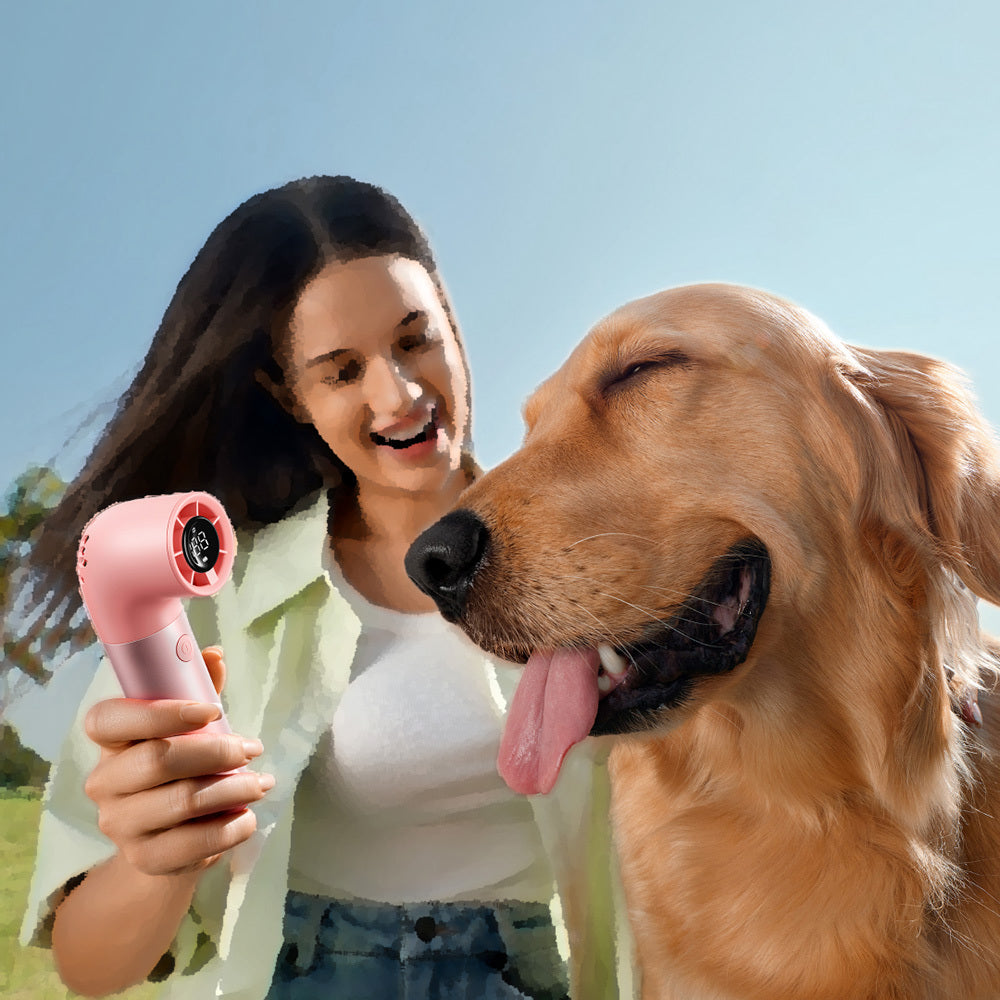 Aecooly PH01 Aero Pro Series Portable Cooling Hand Fan with Digital LED Display Black 