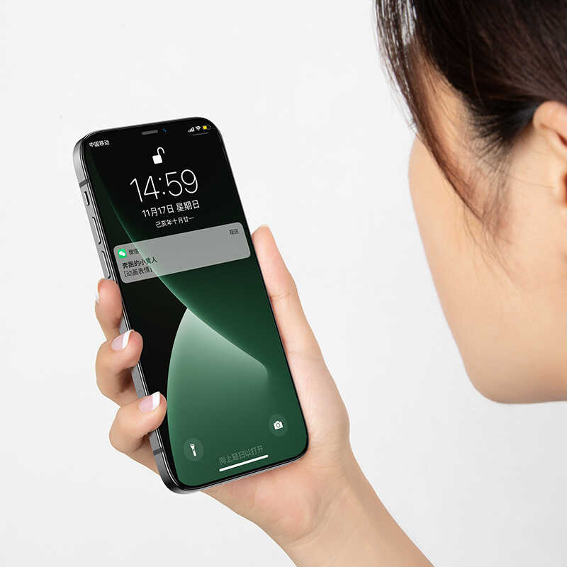 Apple iPhone 12 Pro Max Benks 0.3mm V Pro Dust Proof Green Light Screen Protector Colorless