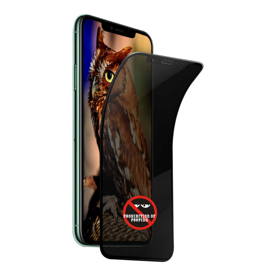 Apple iPhone 12 Pro Max Go Des Privacy Screen Protector Black