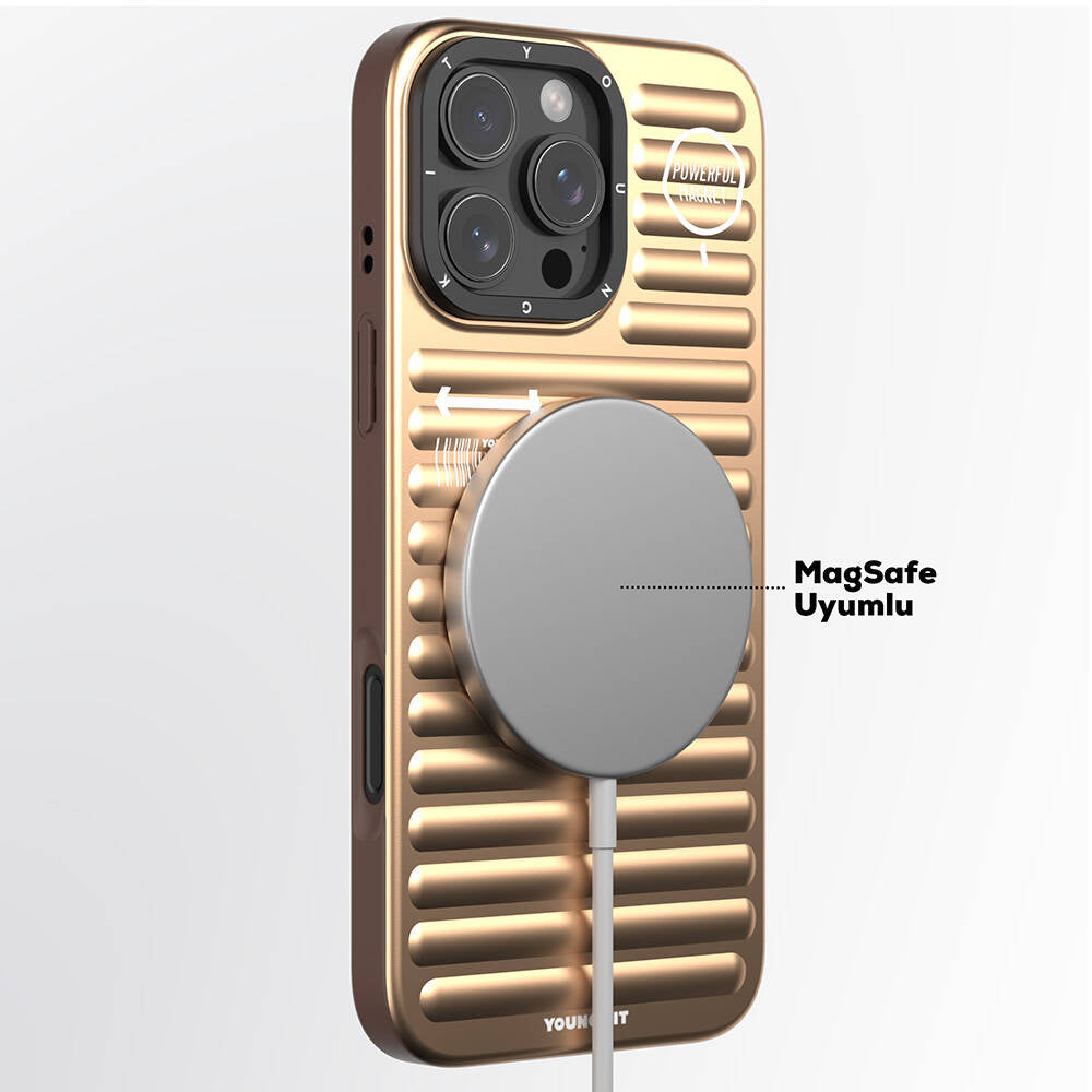 Apple iPhone 16 Pro M-safe Charging Case Matte Color Design Youngkit Original Series Cover Silver 
