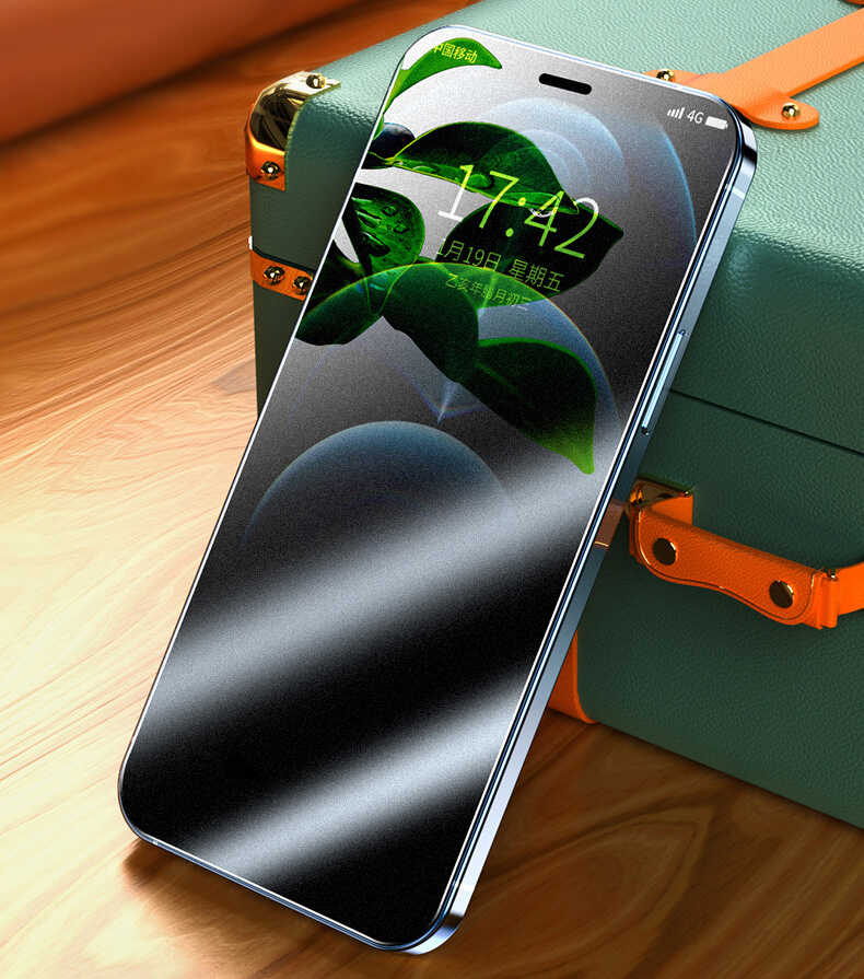 Apple iPhone 16E Zore Rika Premium Privacy Tempered Glass Screen Protector Black 