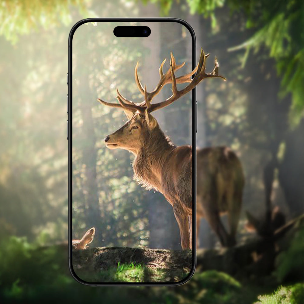 Apple iPhone 17 Zore Micro Camera Lens Protector Silver 