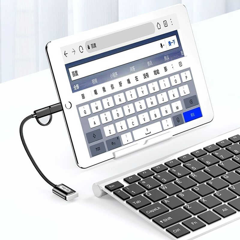 Go Des GD-CT033 2 in 1 Micro - Type-C Otg Gray