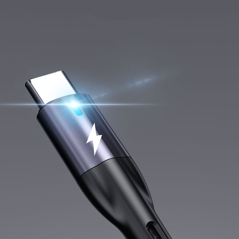 Lenyes LC535 Type-C to Type-C Hızlı Şarj Özellikli Data ve Şarj Kablosu 60W 1M Siyah