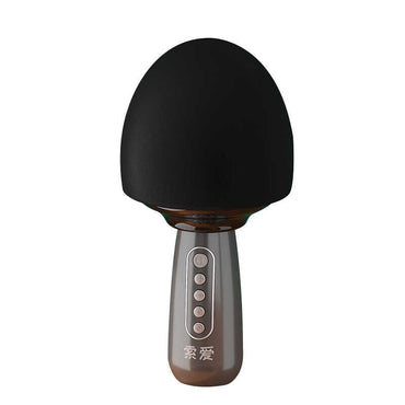 Soaiy MC15 Karaoke Mikrofon Kırmızı