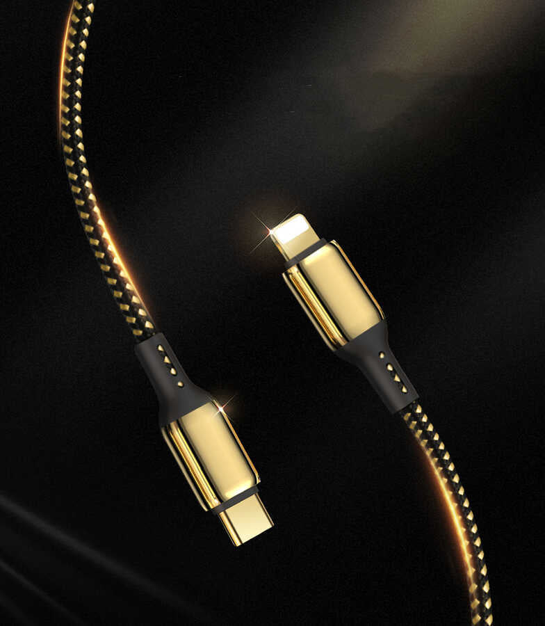 Wiwu Golden Series GD-103 Lightning To PD Data Cable 5M Gold