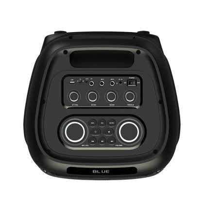 Zore LT-2131 Dijital LED Göstergeli Mikrofonlu RGB TWS Çift 8 inç Stereo Bass Kablosuz Karaoke Hoparlör Siyah