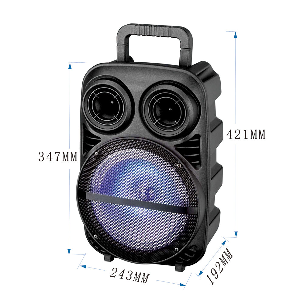 Zore PK-15 FM Radyolu Mikrofonlu RGB TWS 8 inç Stereo Bass Kablosuz Karaoke Hoparlör Siyah